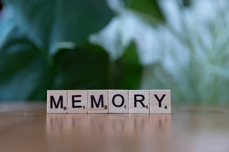 Baddeley's Working Memory Model Explained Simply