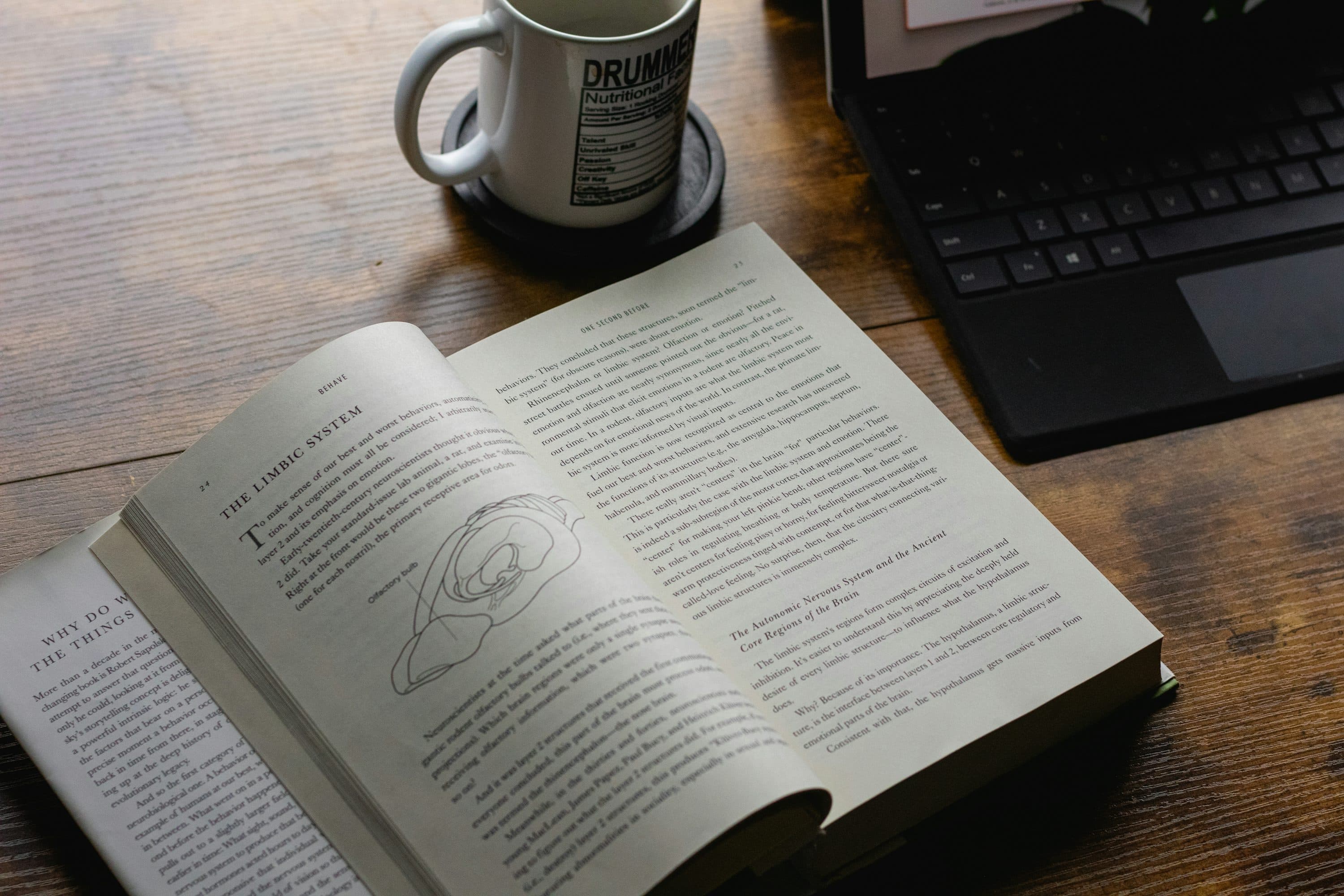 脳パフォーマンスに影響する要因一覧｜科学的根拠とソース付きで解説