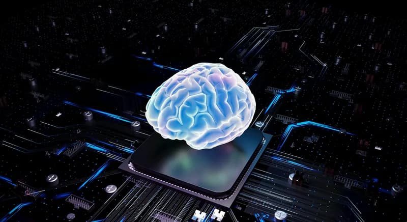 Cognitive Performance Test: Measure Your Brain in 5 Minutes