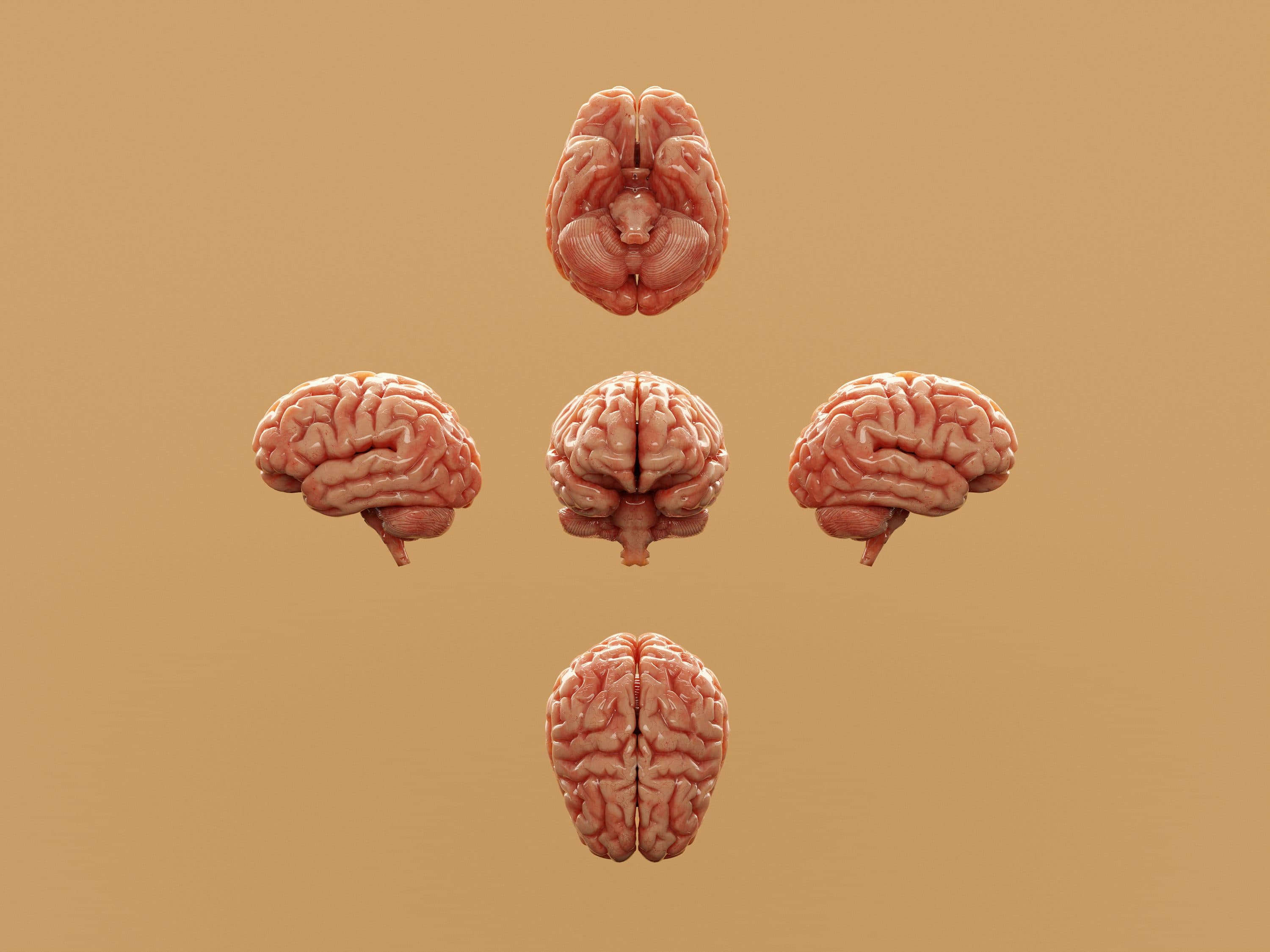 集中力テスト｜あなたの注意持続力を無料で測定