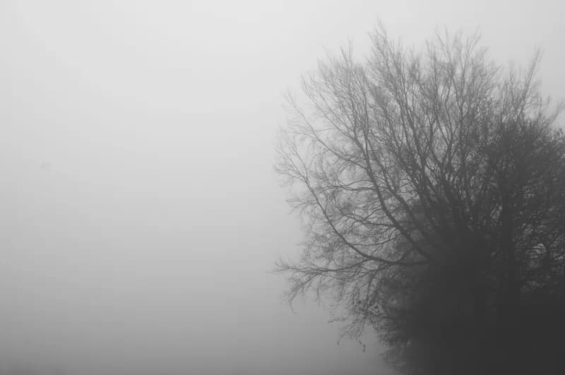 頭の回転が遅い原因と改善方法【脳科学で解説】