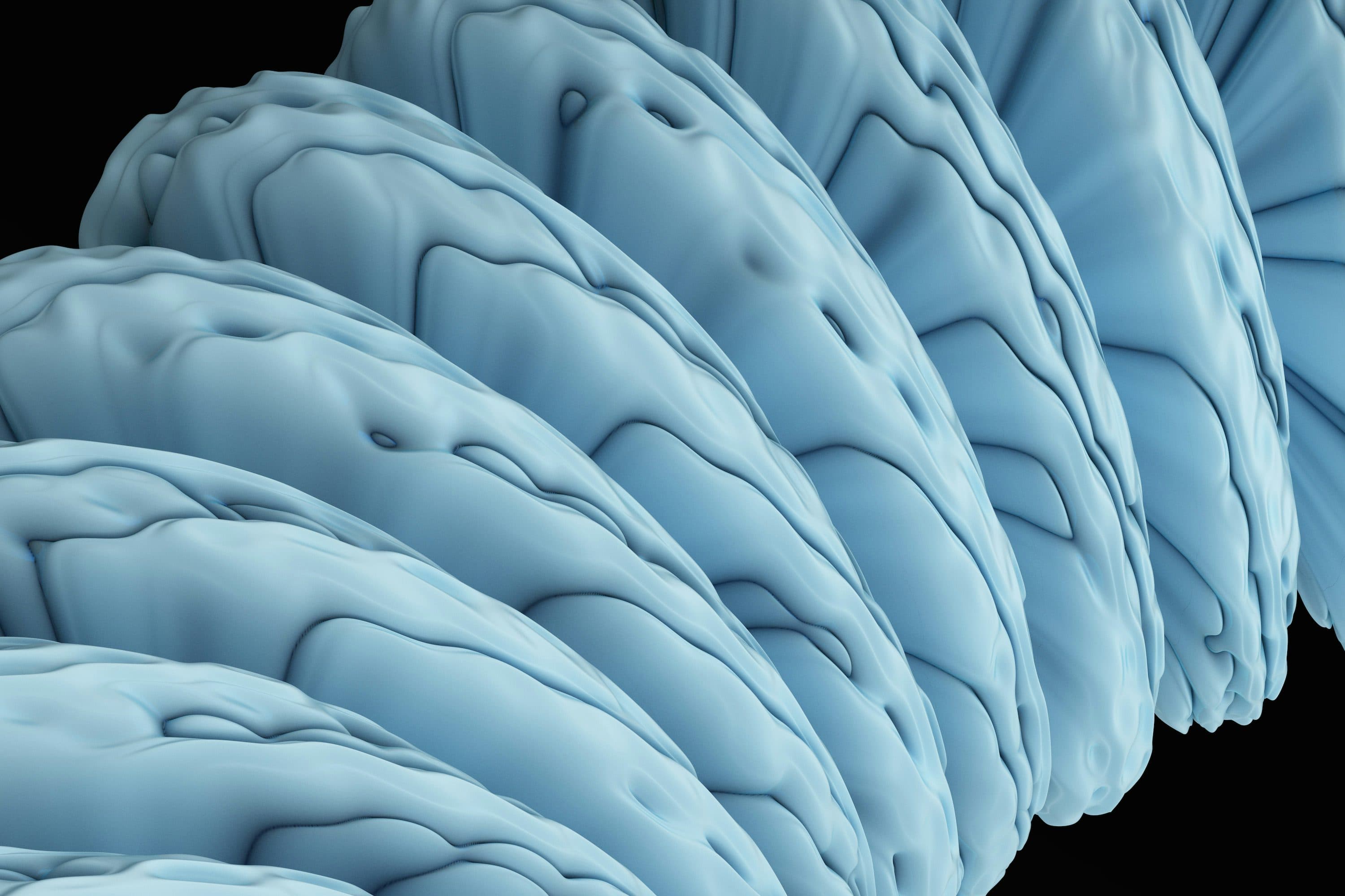 ワーキングメモリの容量は増やせる？脳科学の答え