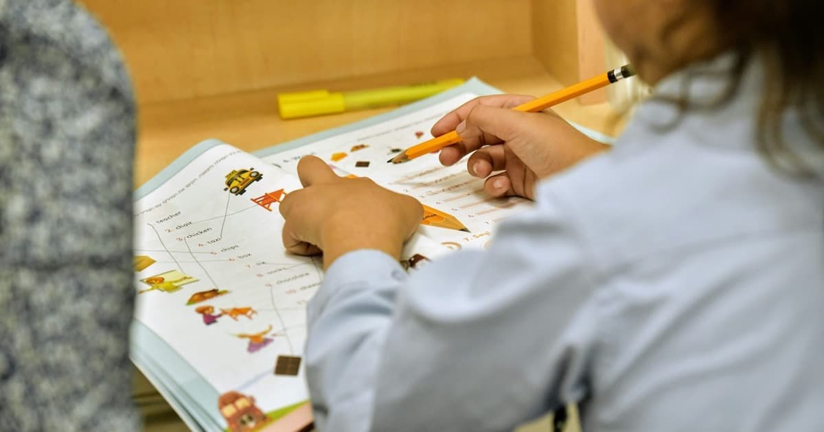 Working Memory in Children: Development & Training