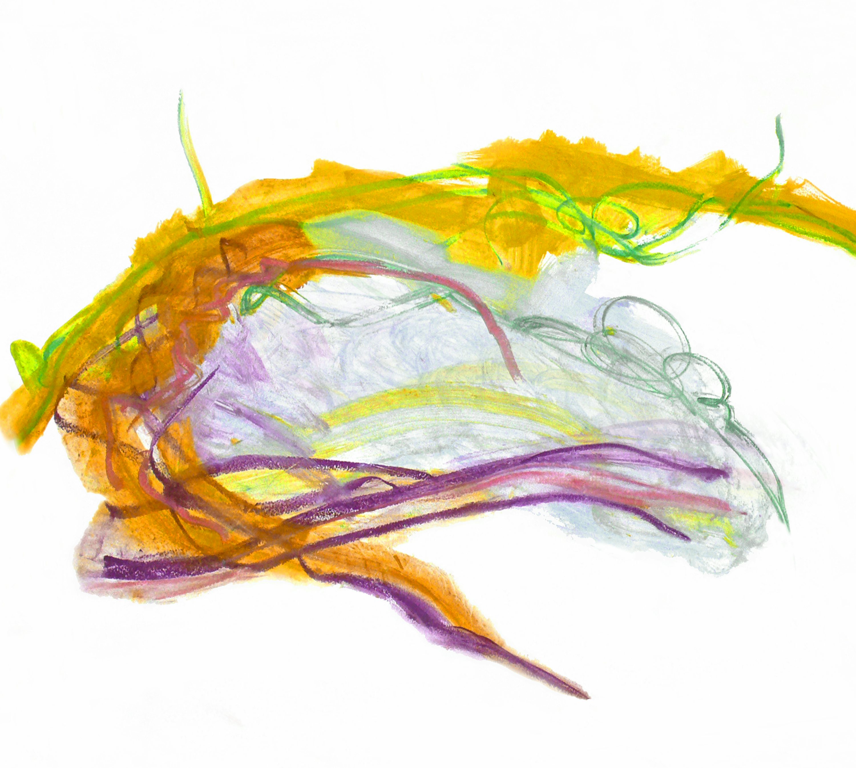 The 5 Domains of Cognitive Performance