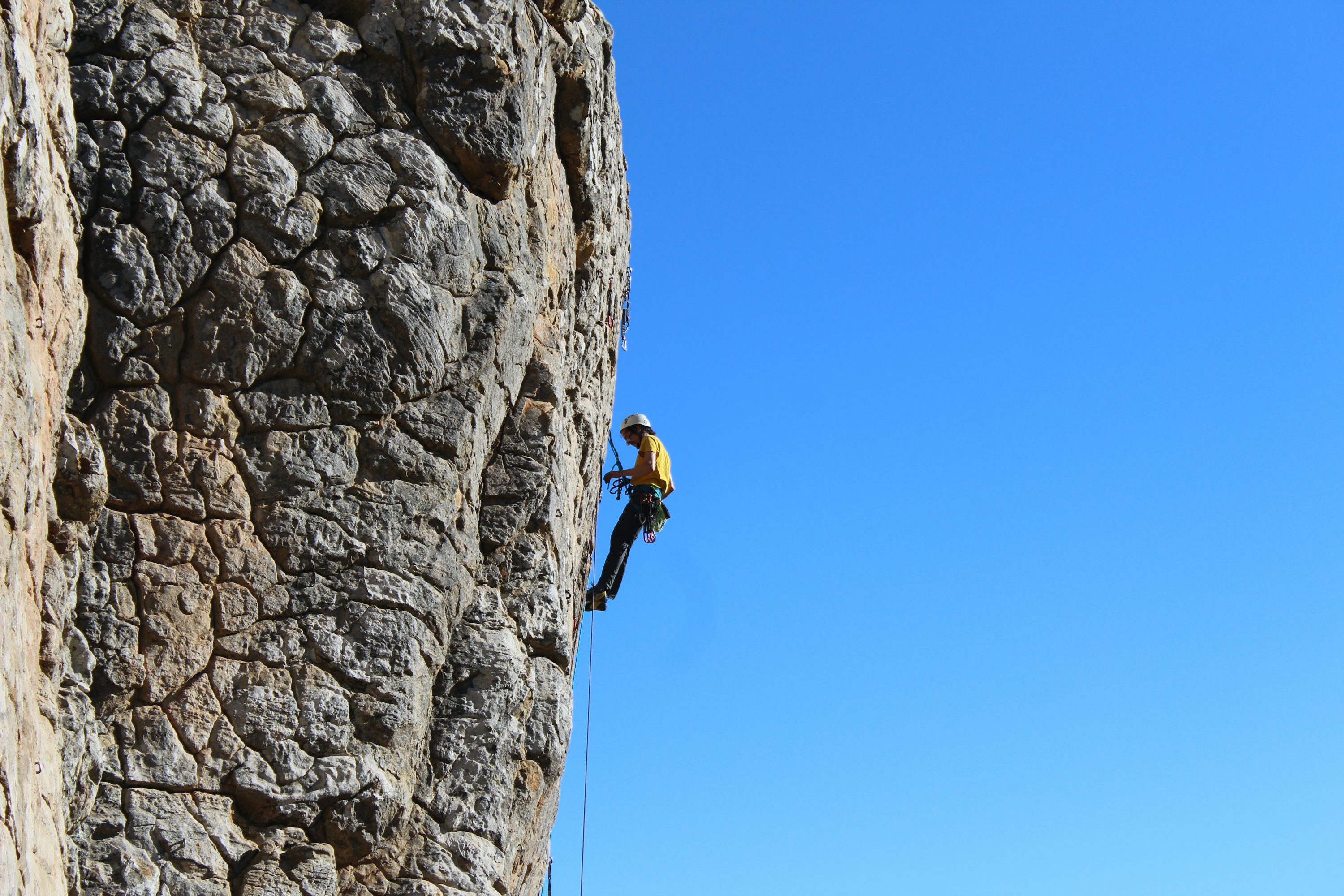 習慣4：新しいことに挑戦し続ける