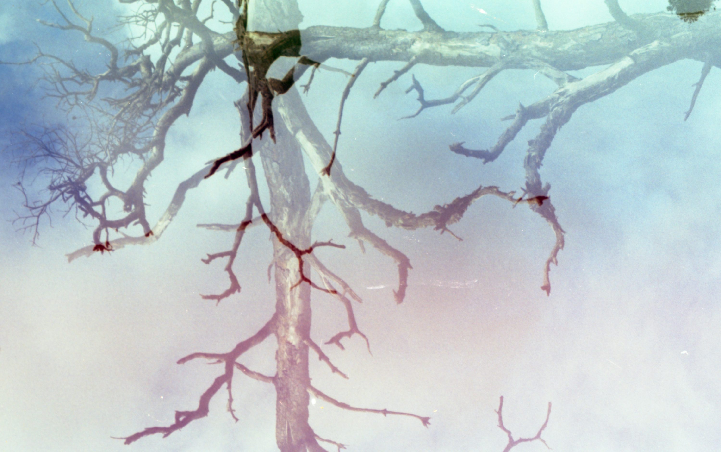 地頭は生まれつき？鍛えられる？