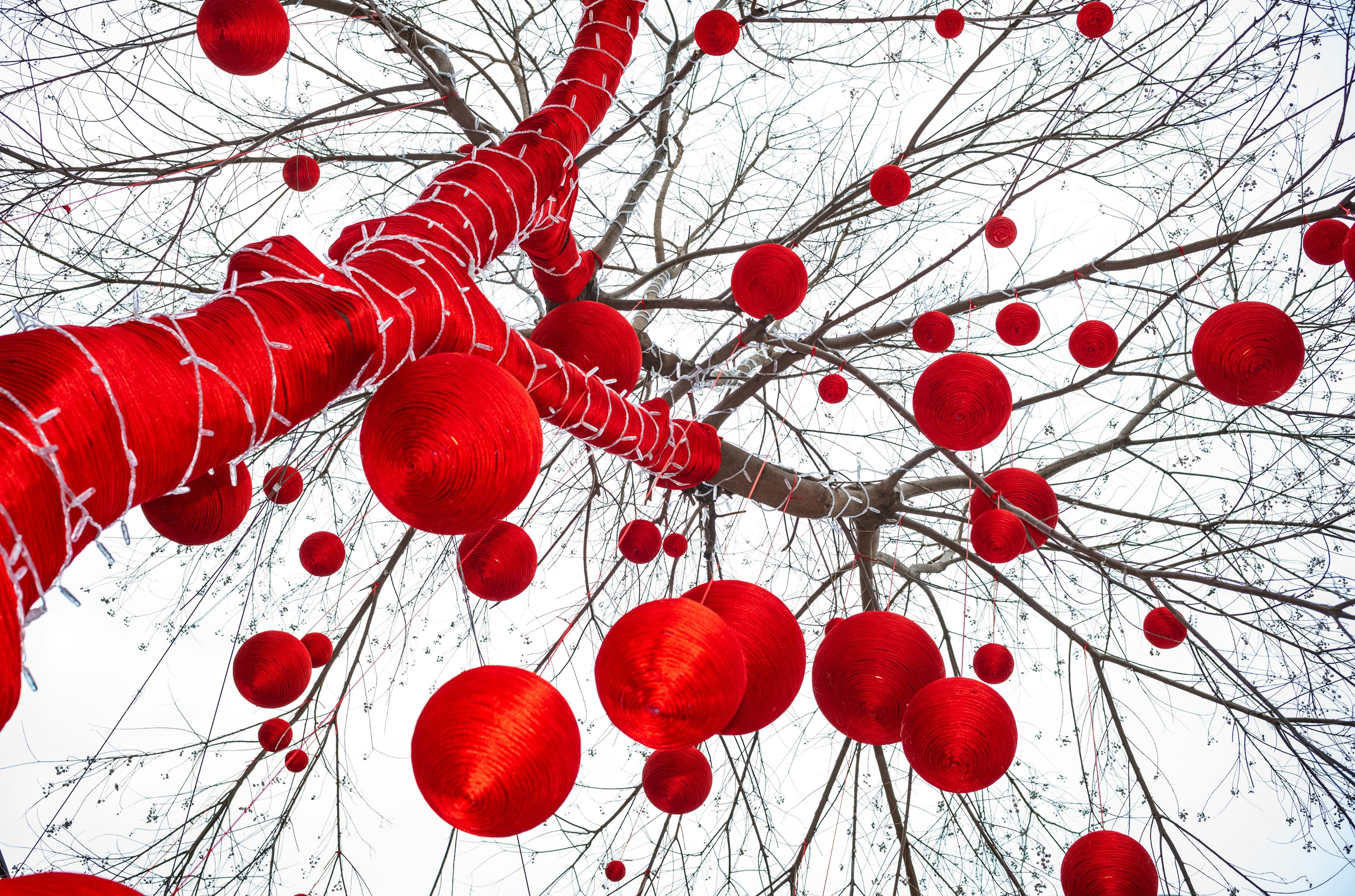 反応速度が年齢とともに変化する原因