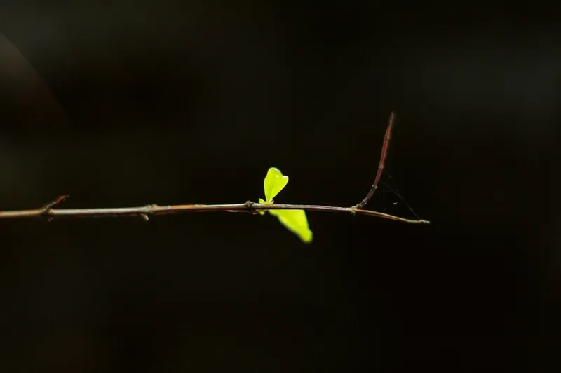 成長と改善を表す矢印 — 反応速度向上のイメージ