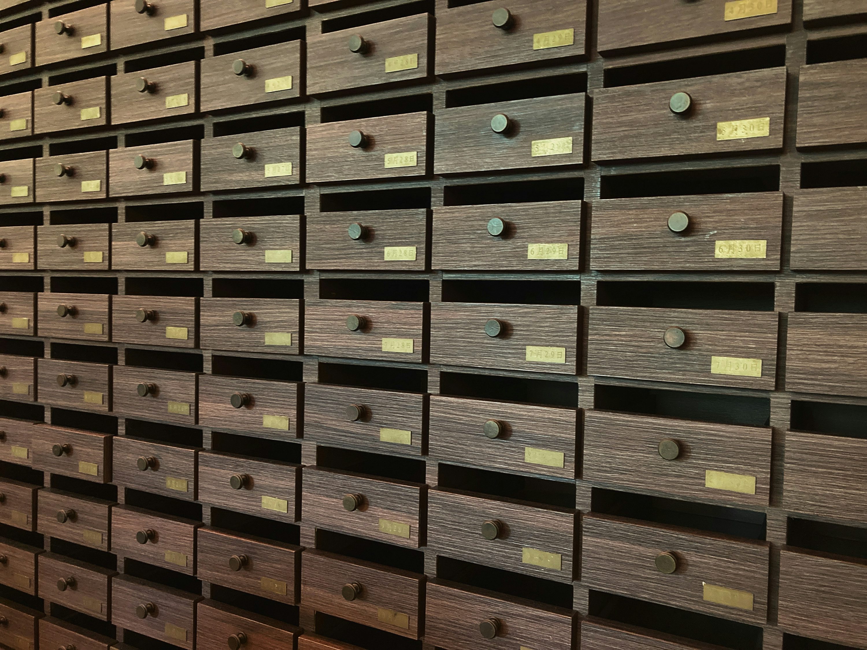 長期記憶とは？