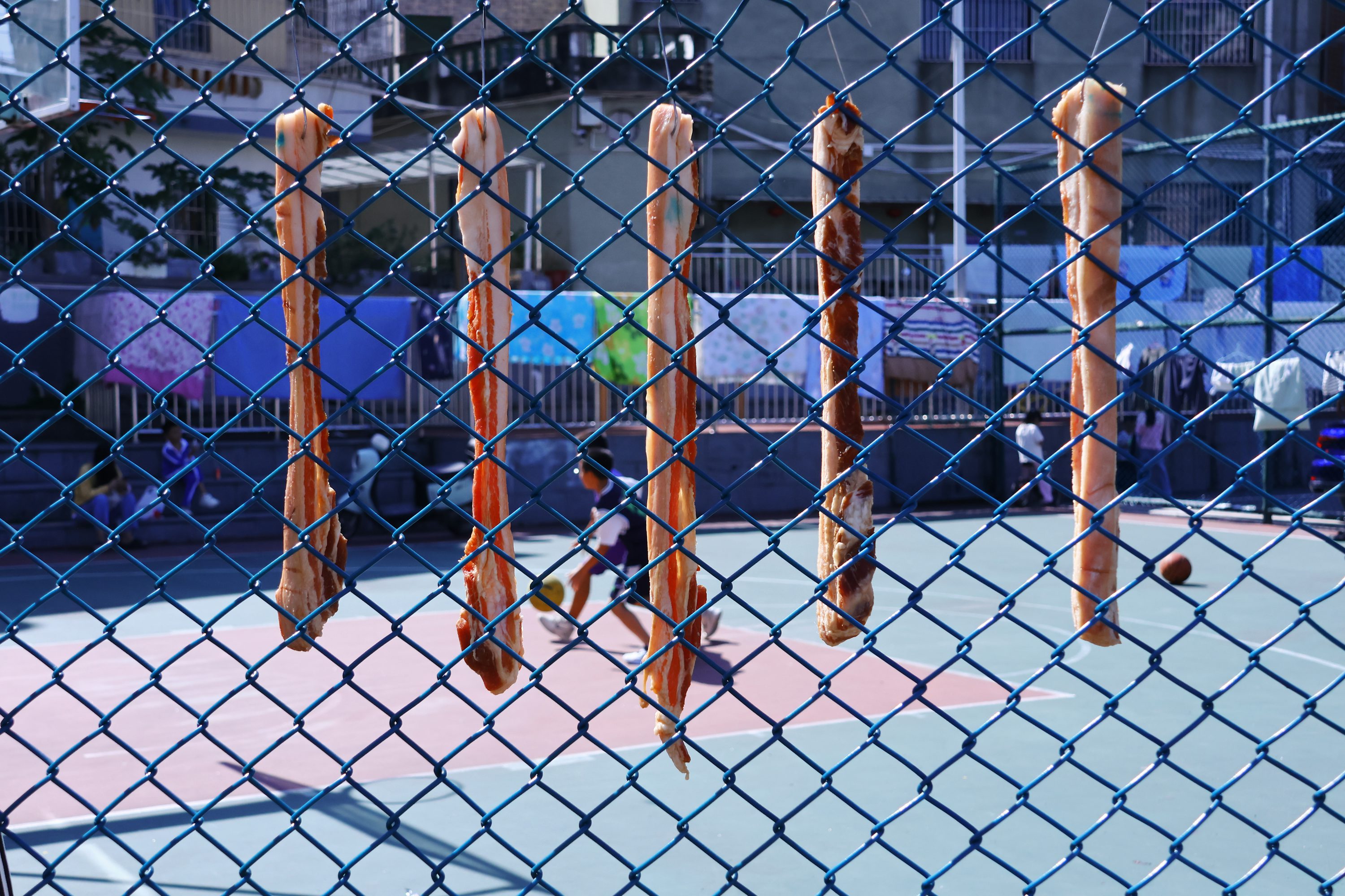 スポーツ別の反応速度データ