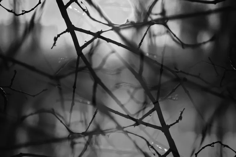 散乱した思考 — ADHDとワーキングメモリの関係